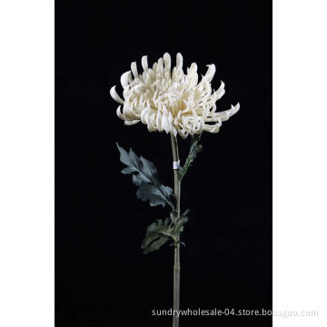 FUJI Mum Flower